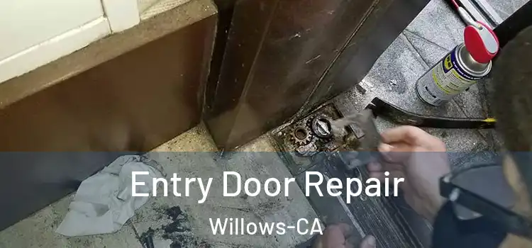 Entry Door Repair Willows-CA