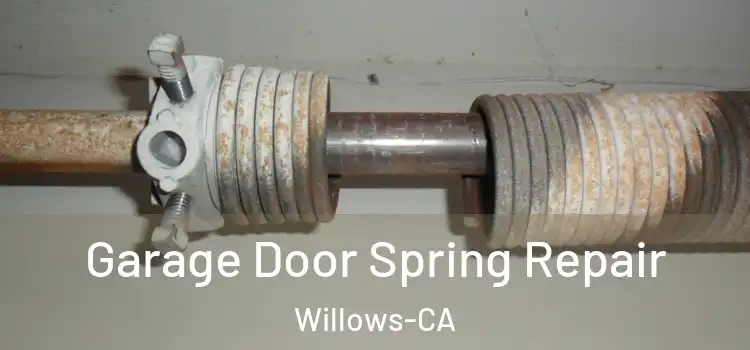 Garage Door Spring Repair Willows-CA