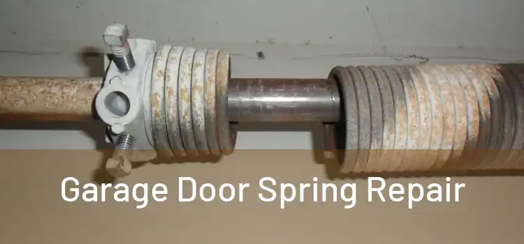  Garage Door Spring Repair 
