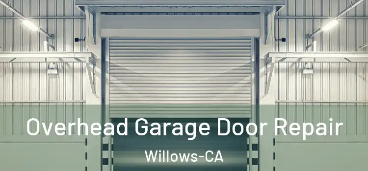  Overhead Garage Door Repair Willows-CA