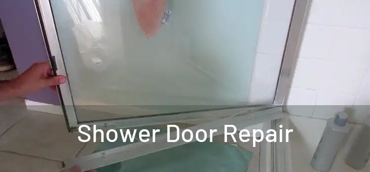  Shower Door Repair 